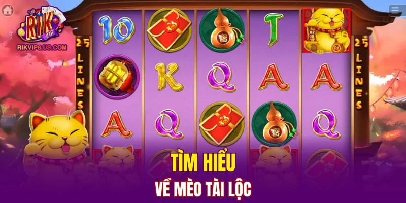 Tìm hiểu về mèo Tài Lộc